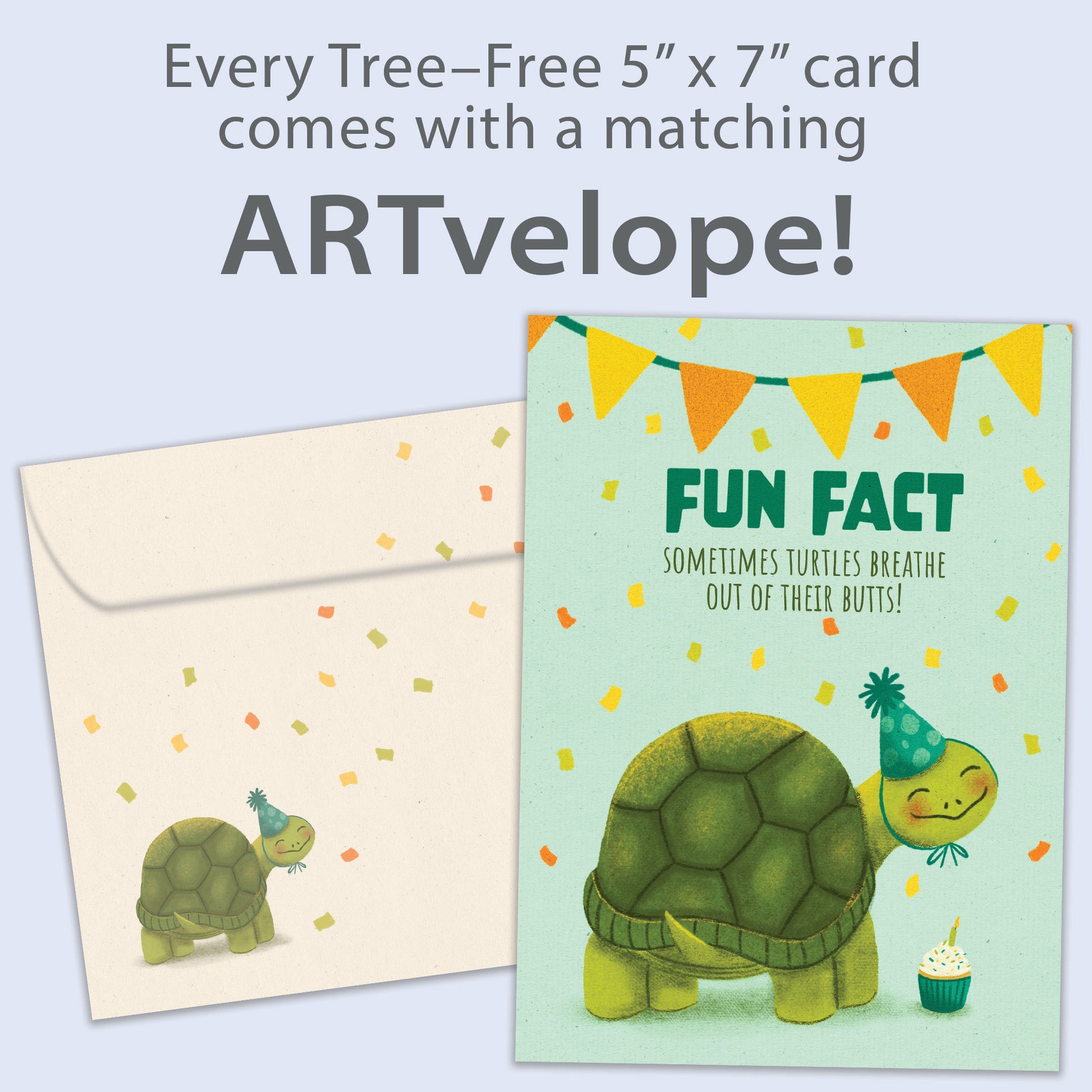 Front view of a Birthday greeting card featuring a birthday turtle with a fun fact message, with matching envelope artwork.
