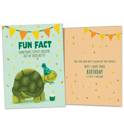 Front and inside view of a Birthday greeting card featuring a birthday turtle with a fun fact message, with matching design details inside.