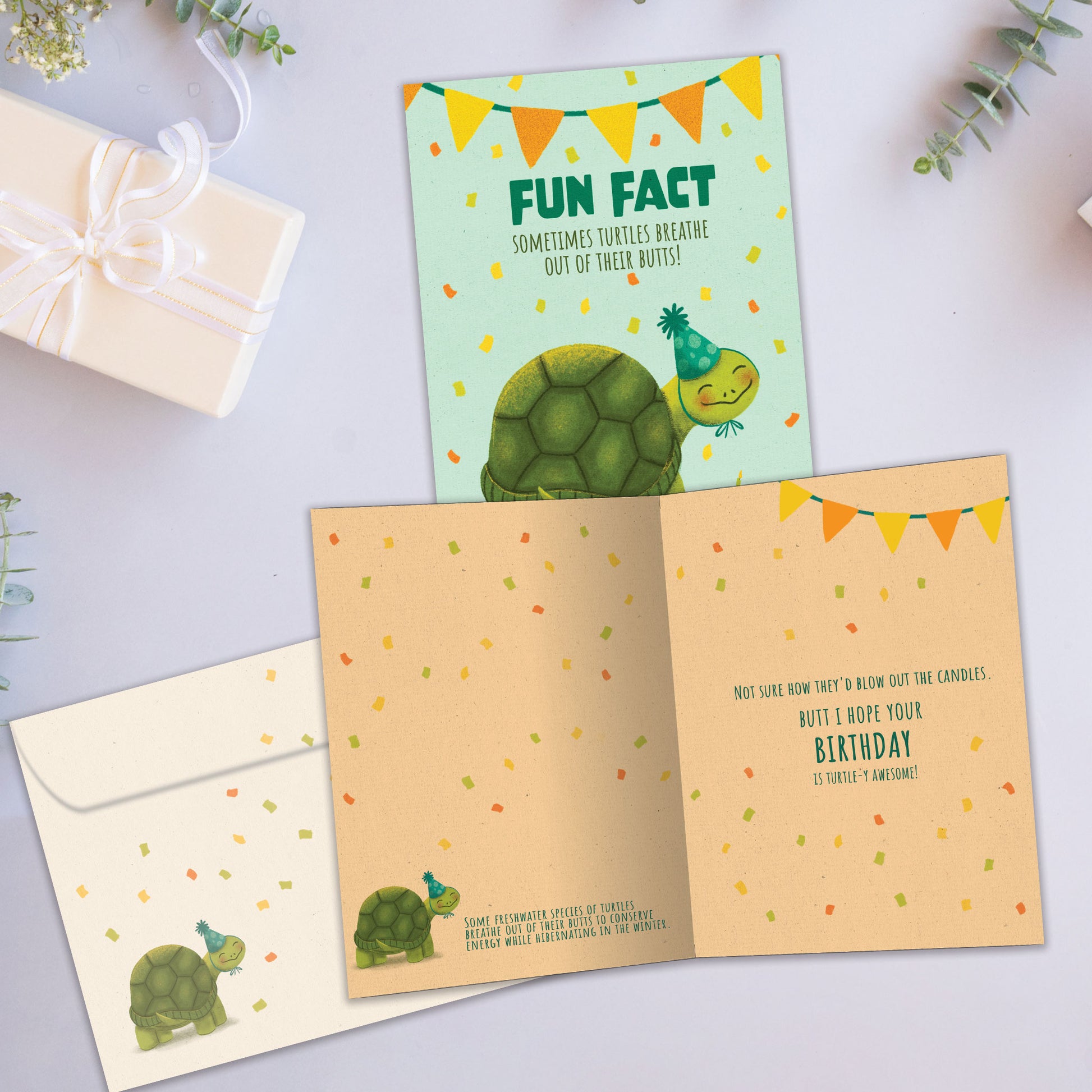 Front and inside view of a Birthday greeting card showcasing a birthday turtle with a fun fact message, with a matching envelope.