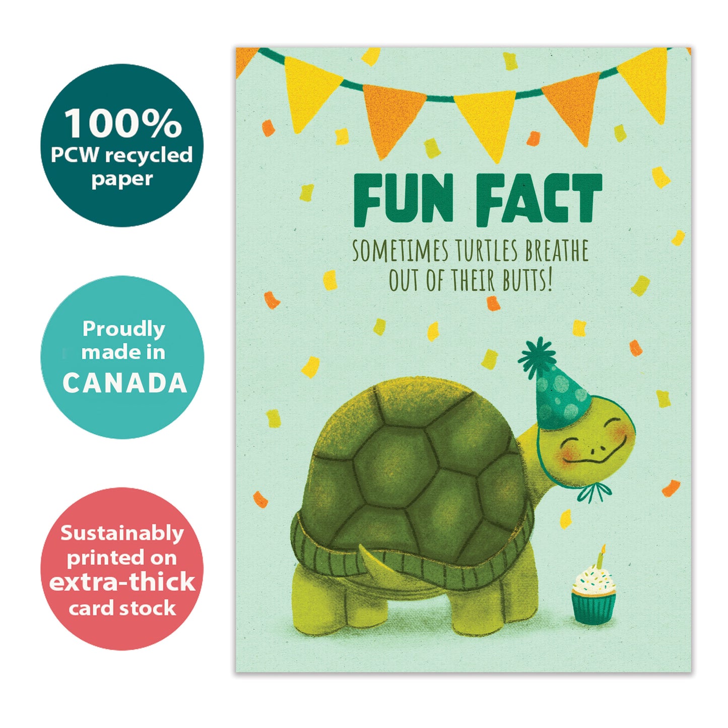 Front view of a Birthday greeting card with a birthday turtle and a fun fact message, highlighting its eco-friendly materials and made in Canada.