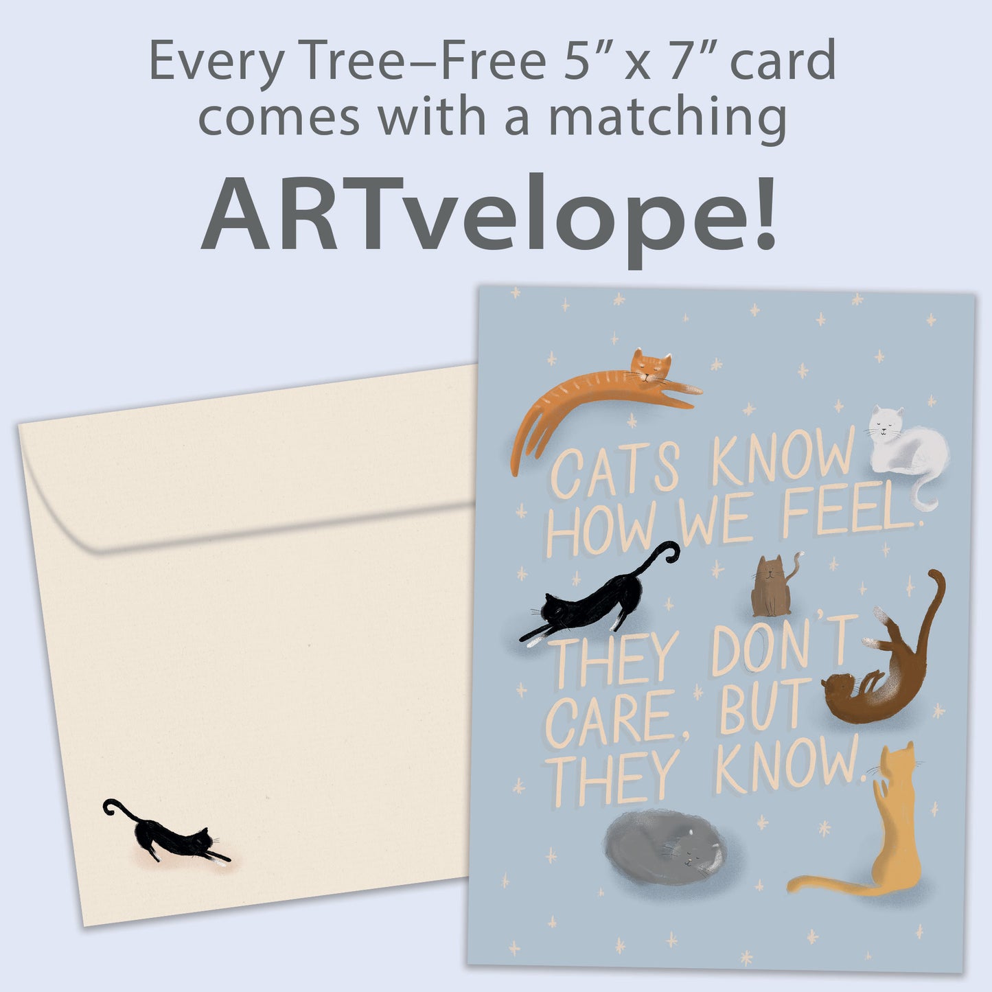 Cats Know Encouragement Card