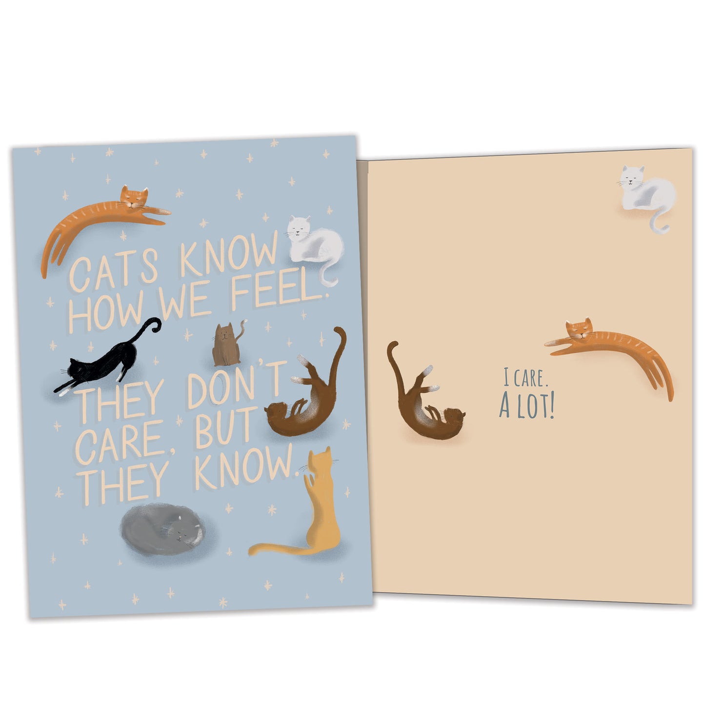Cats Know Encouragement Card