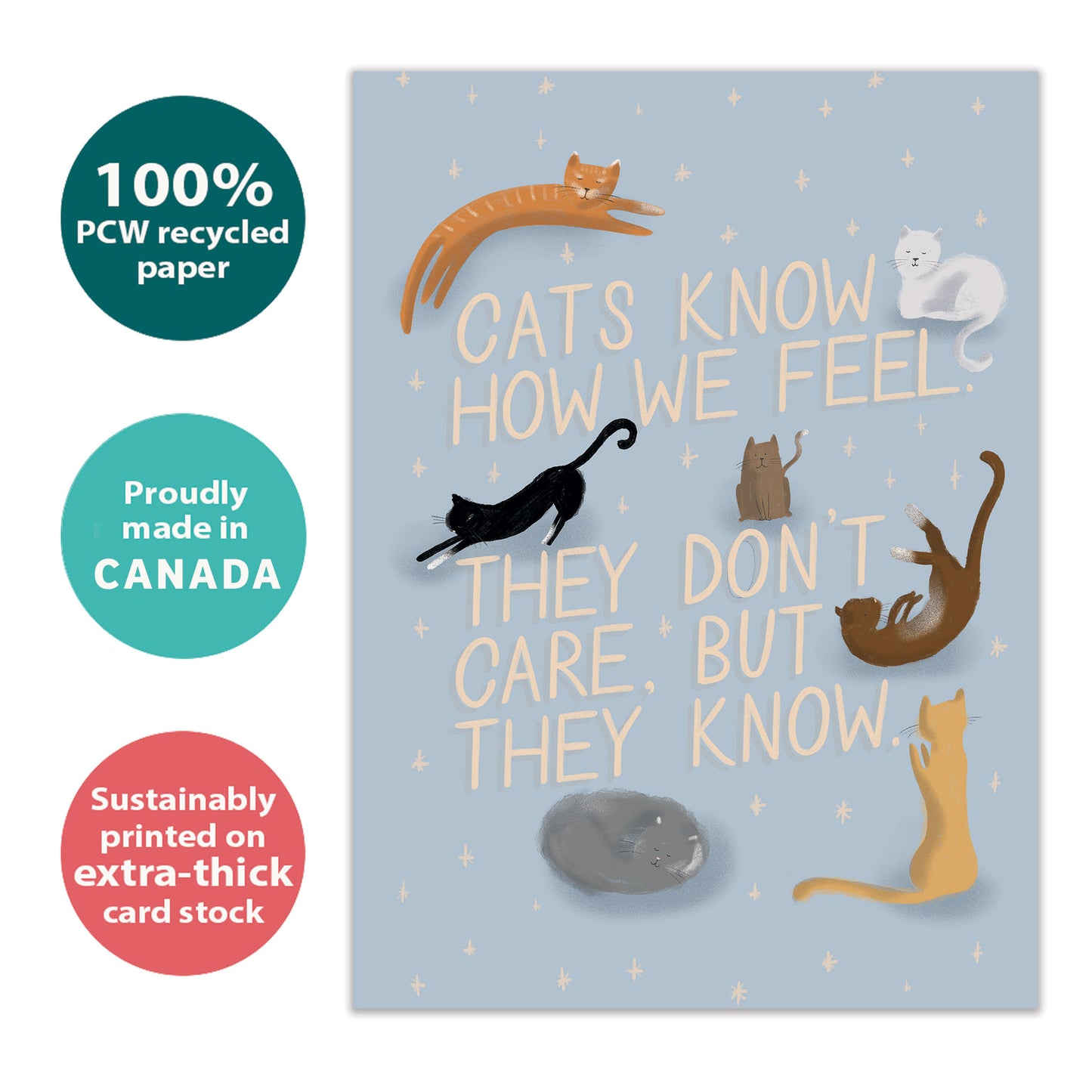 Cats Know Encouragement Card