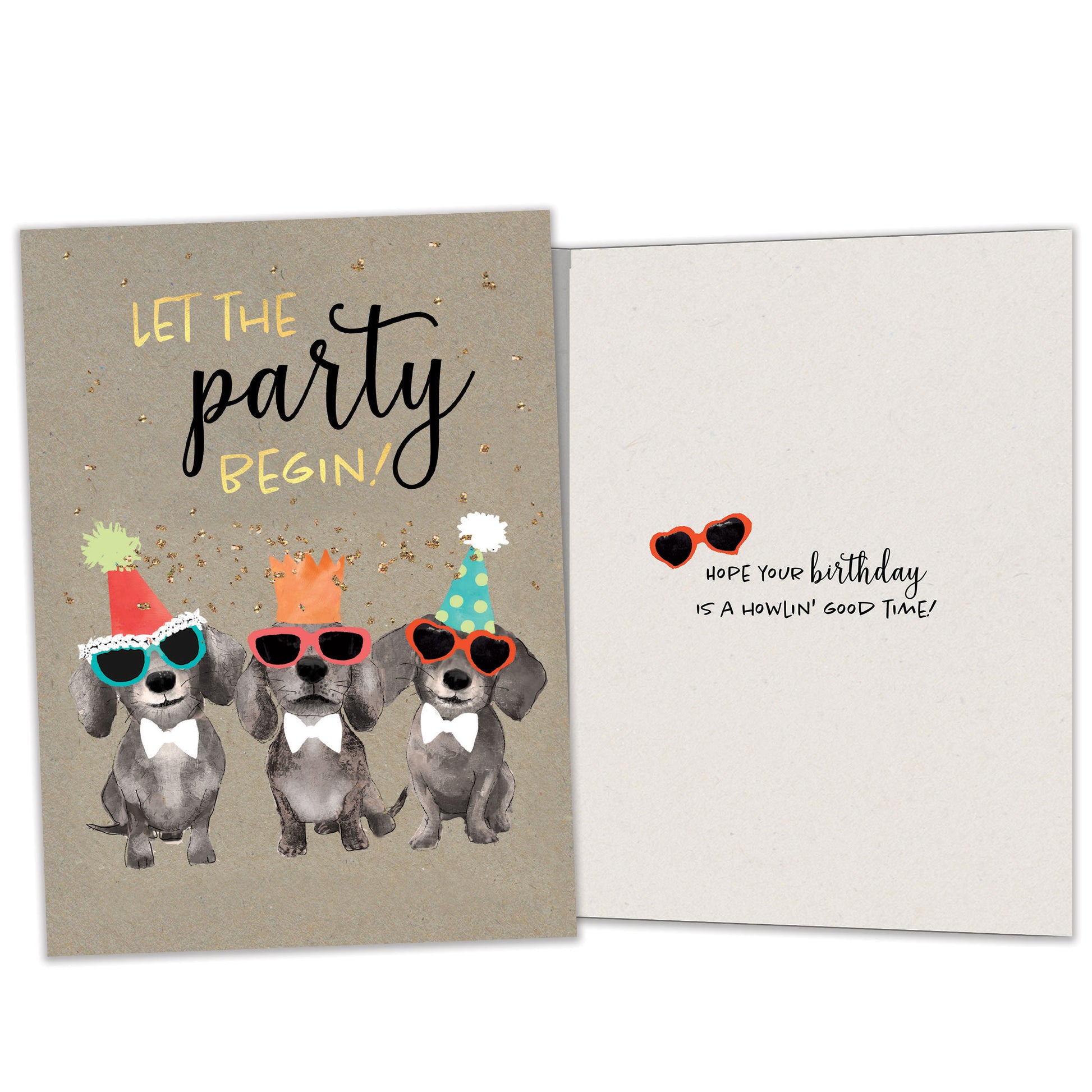 Front and inside view of a Birthday greeting card featuring 3 dogs wearing birthday hats with the words "let the party begin!", with matching design details inside.