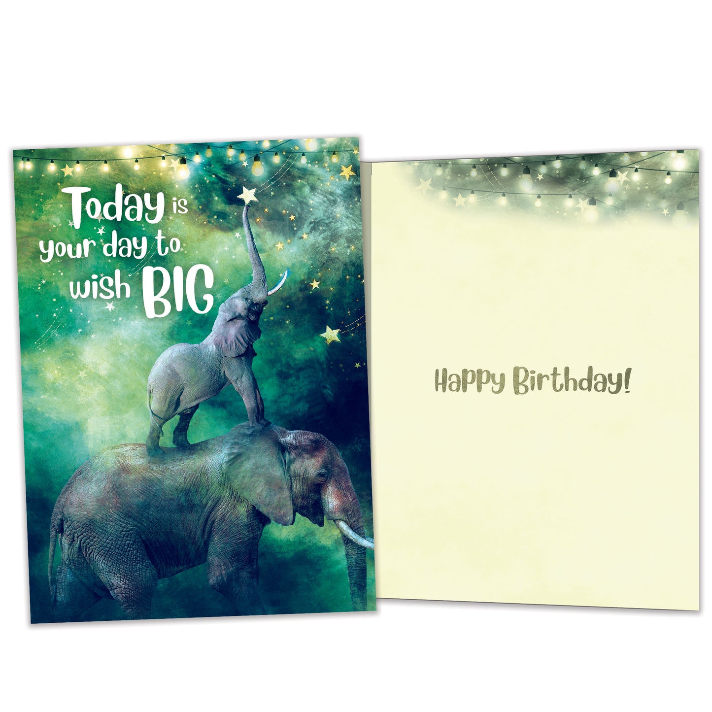 Front and inside view of a birthday greeting card featuring an illustration of a baby and mother elephants with the message "Today is your day to wish big", with matching design details inside.