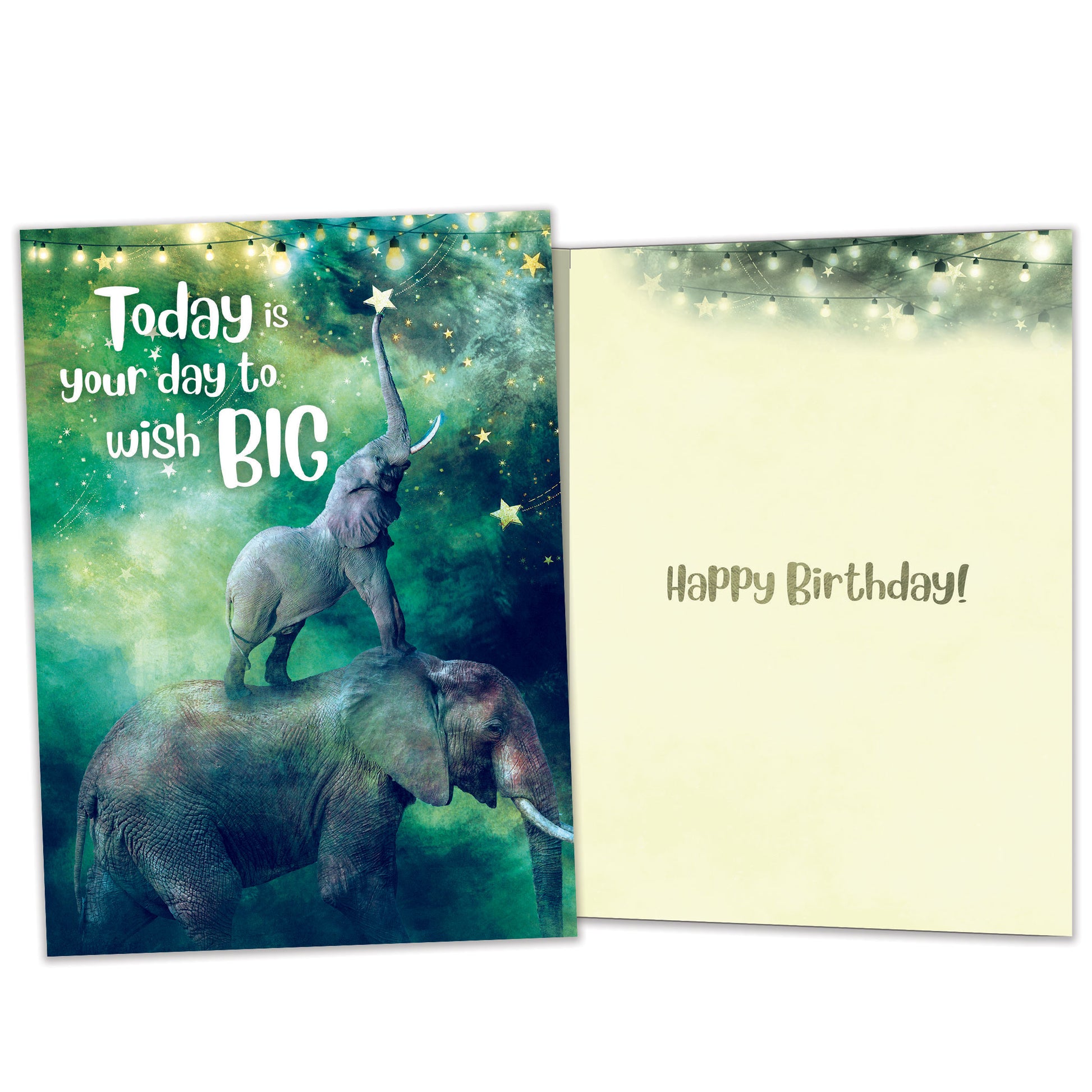 Front and inside view of a birthday greeting card featuring an illustration of a baby and mother elephants with the message "Today is your day to wish big", with matching design details inside.