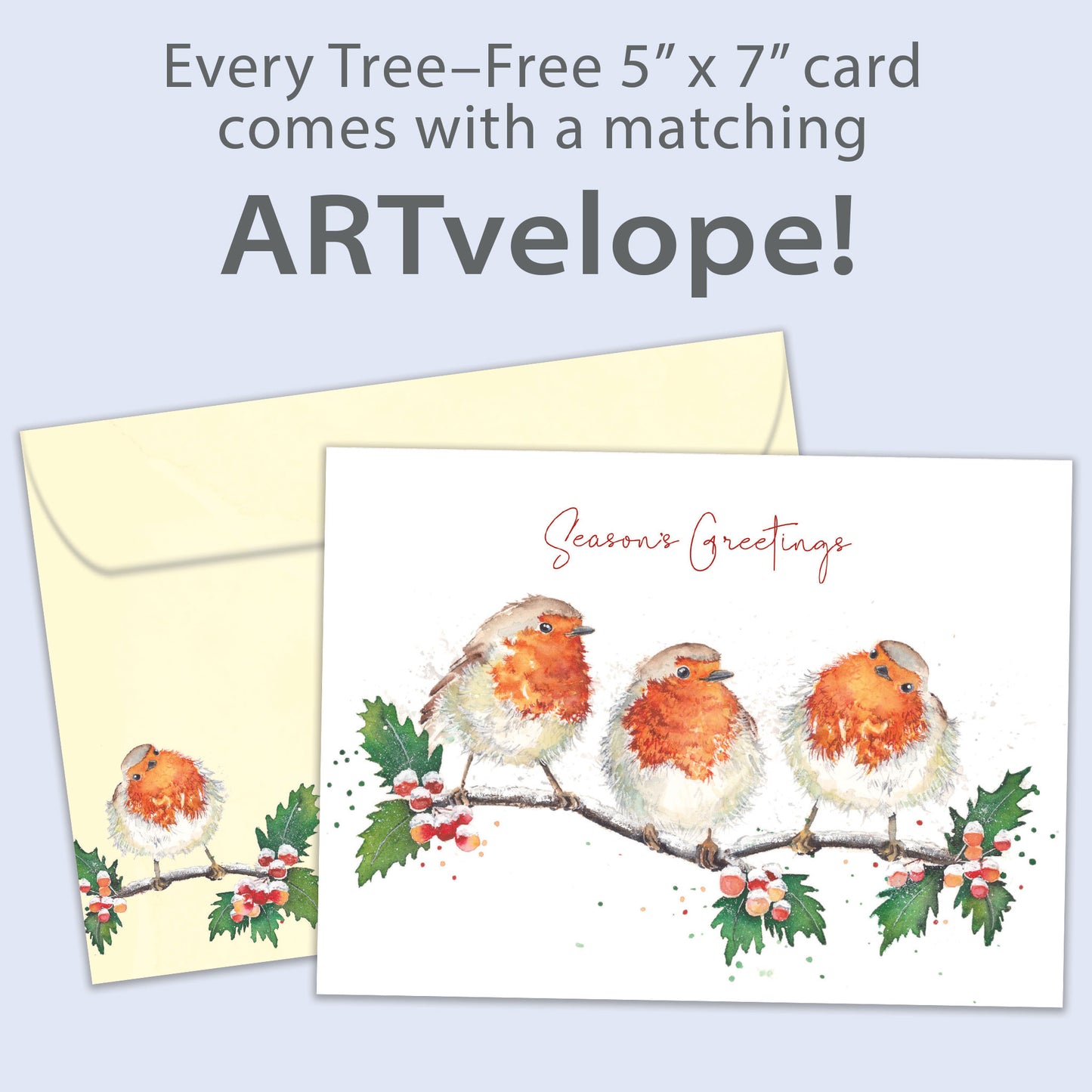 Bird Beauty Holiday Card