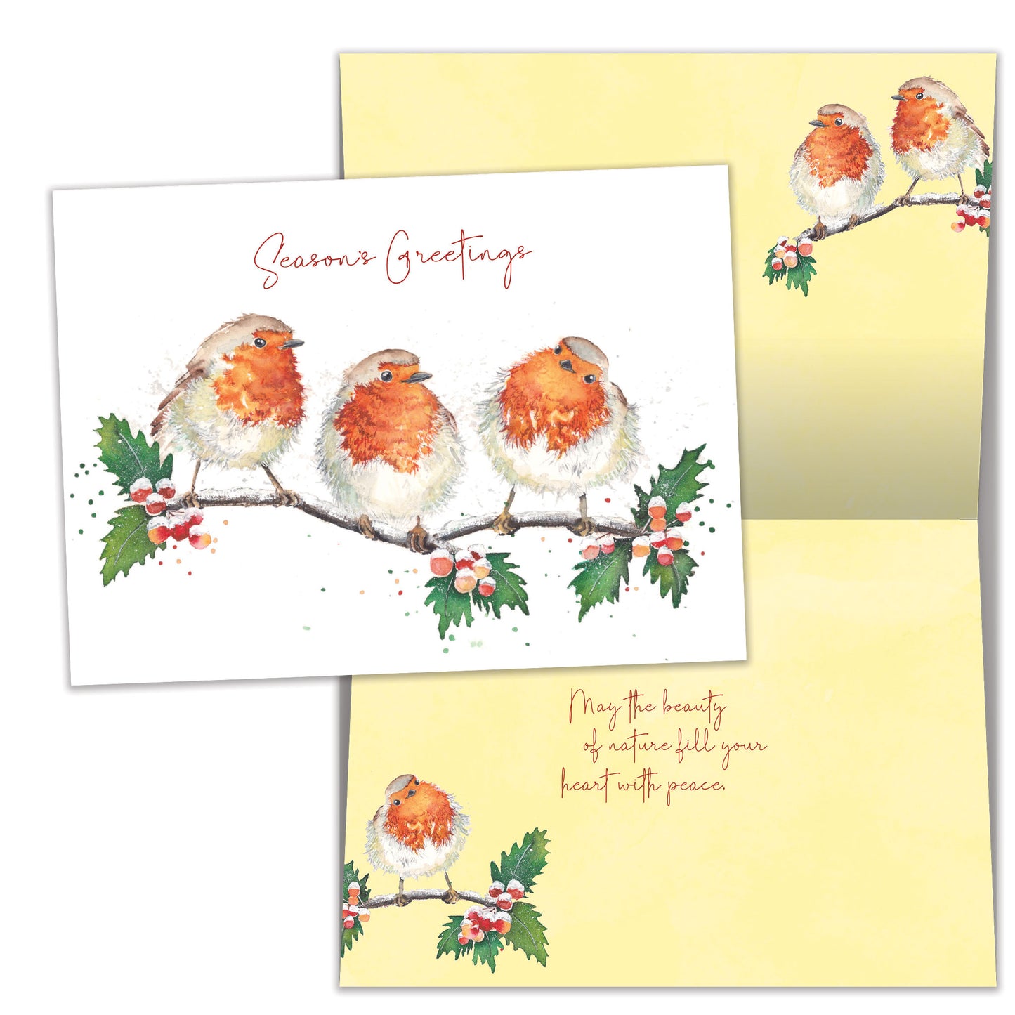 Bird Beauty Holiday Card