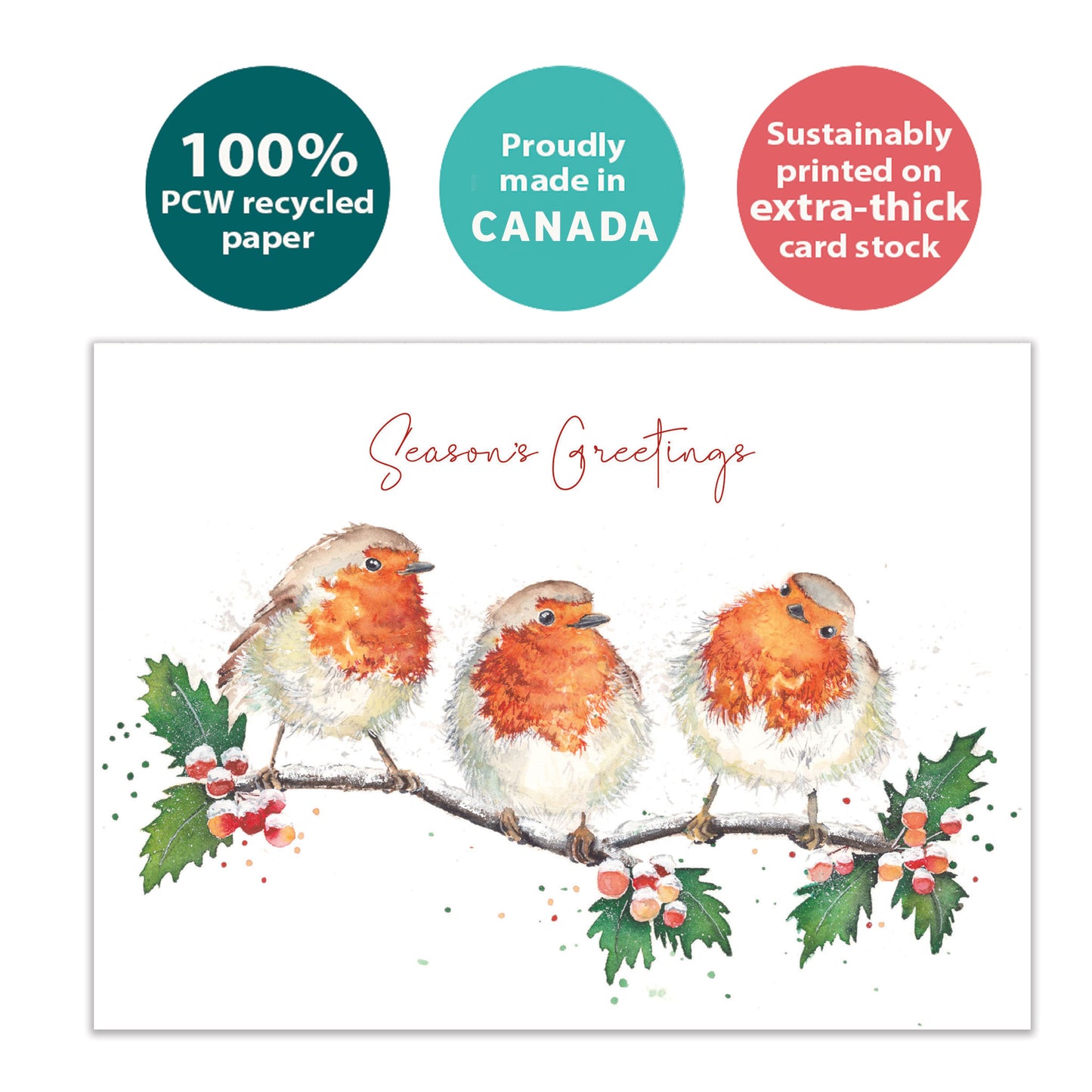 Bird Beauty Holiday Card