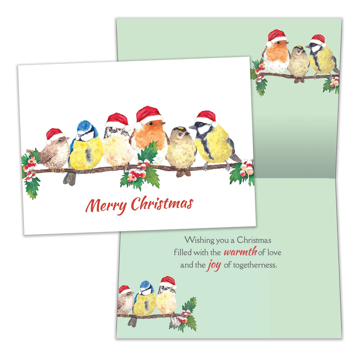 Bird Togetherness Christmas Card