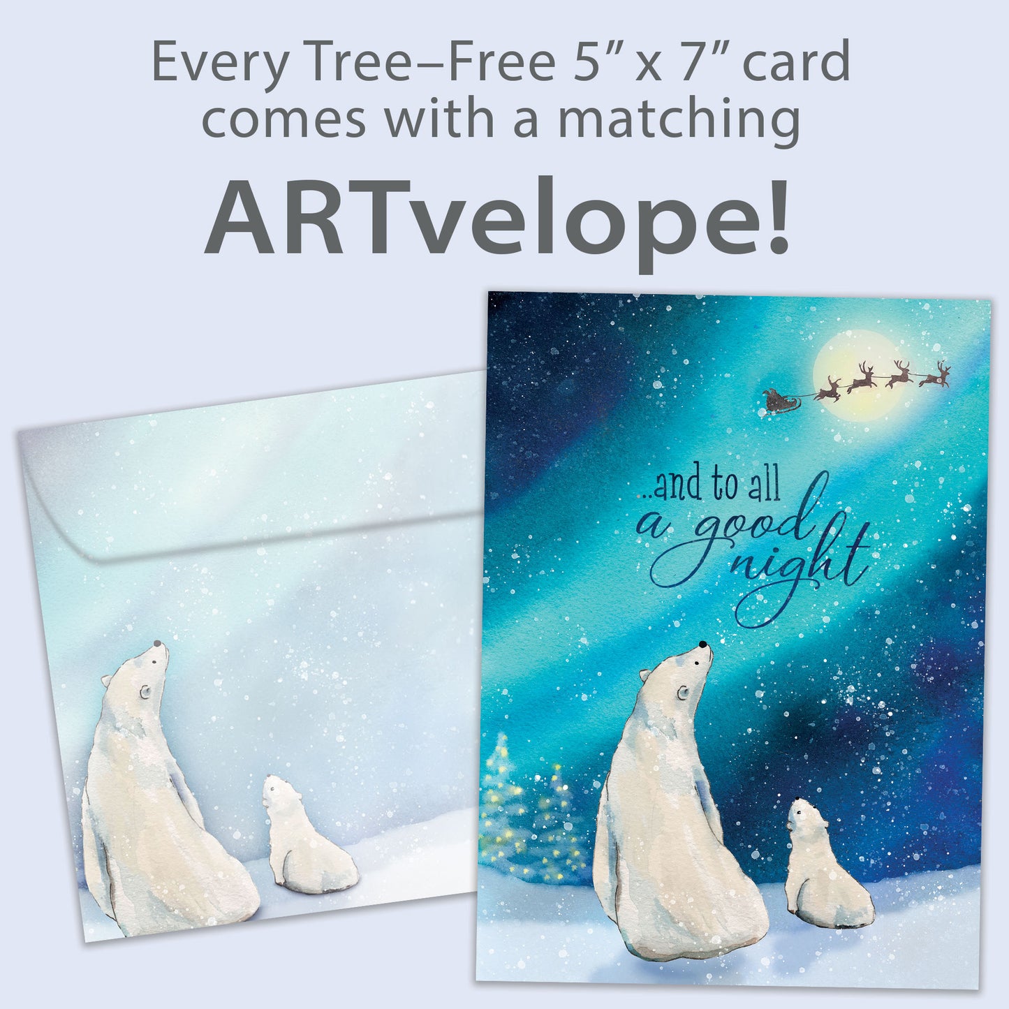 Polar Bear Wonder Christmas Card