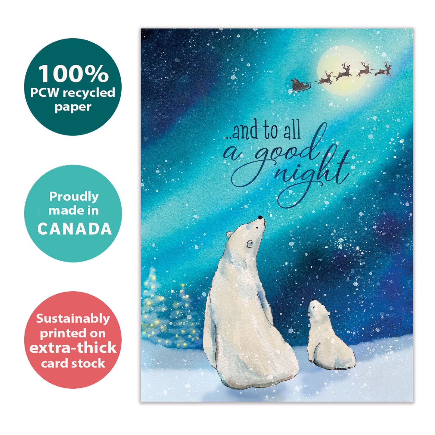 Polar Bear Wonder Christmas Card