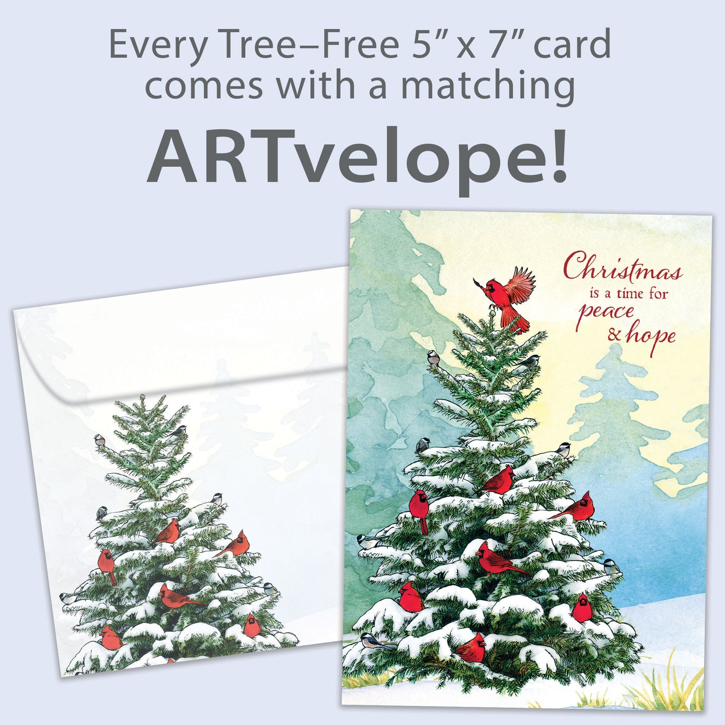 Cardinal Peace Christmas Card