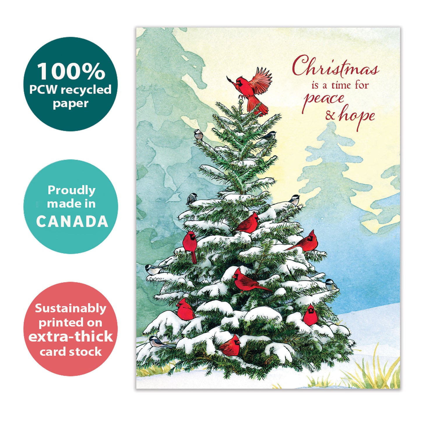 Cardinal Peace Christmas Card