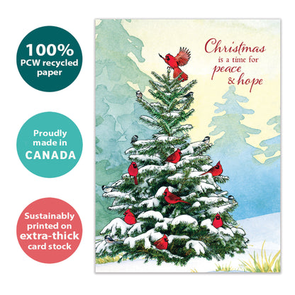 Cardinal Peace Christmas Card