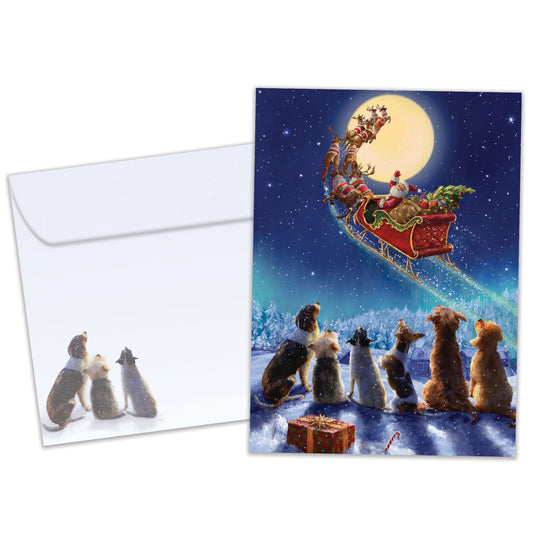 Dog Magic Christmas Card