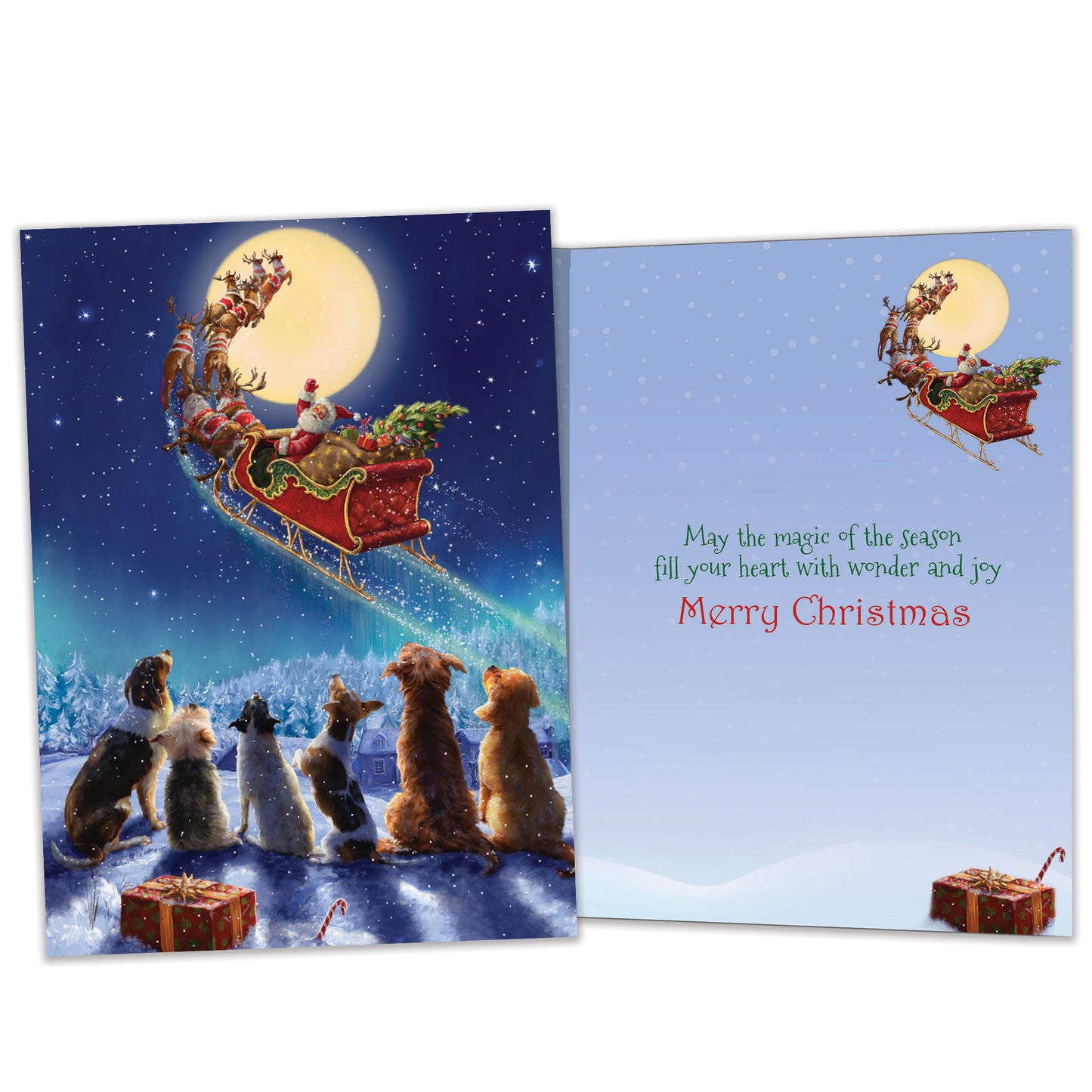 Dog Magic Christmas Card