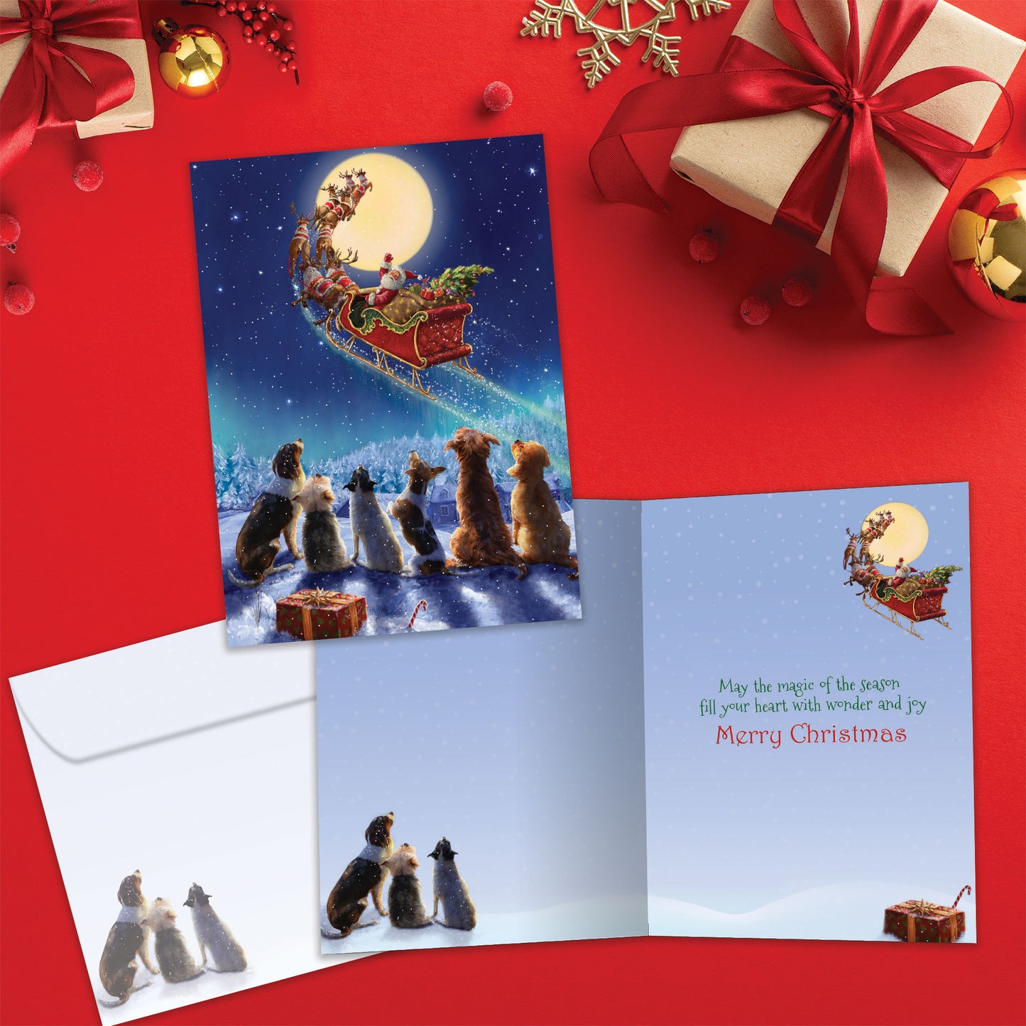 Dog Magic Christmas Card