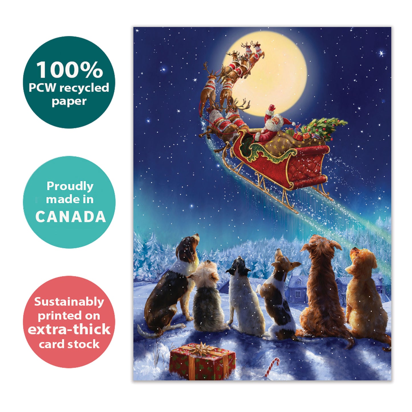 Dog Magic Christmas Card