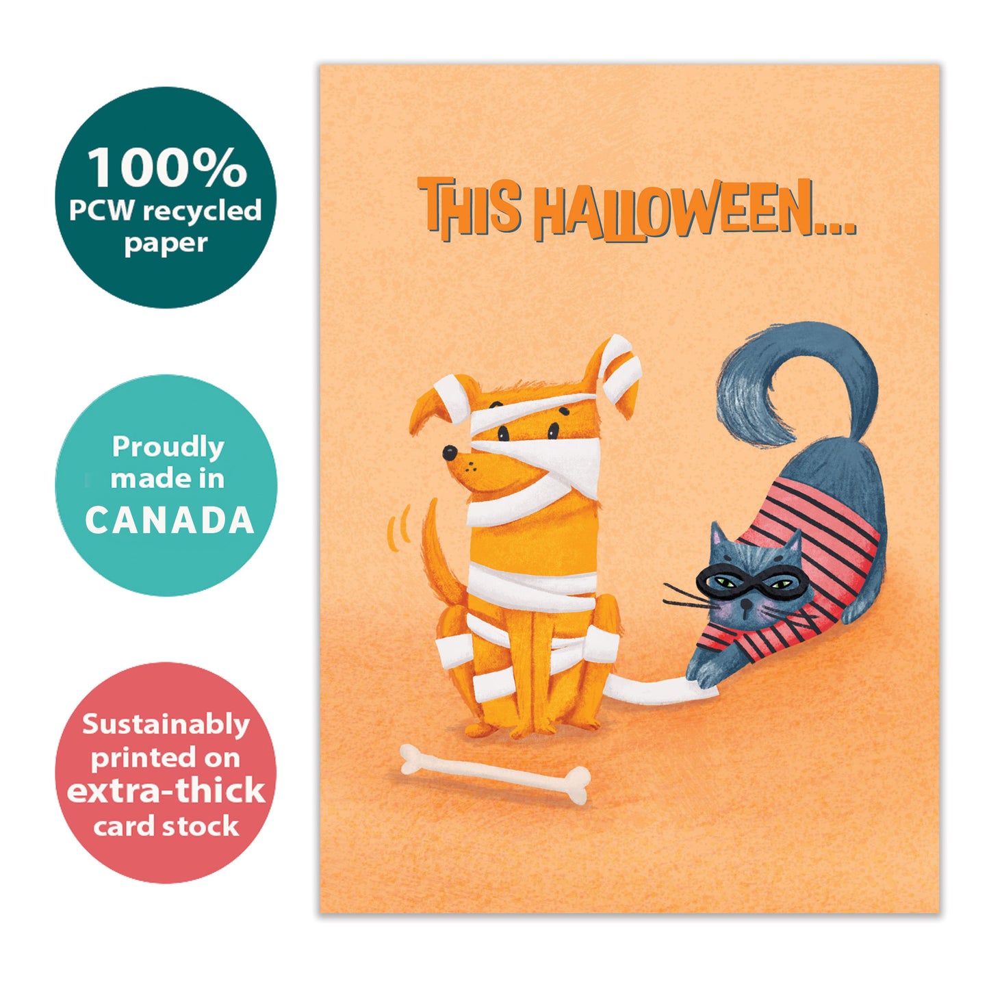 Wrapped Pets Halloween Card