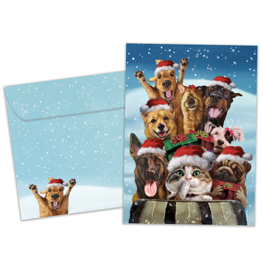 Downhill From Here Holiday Card