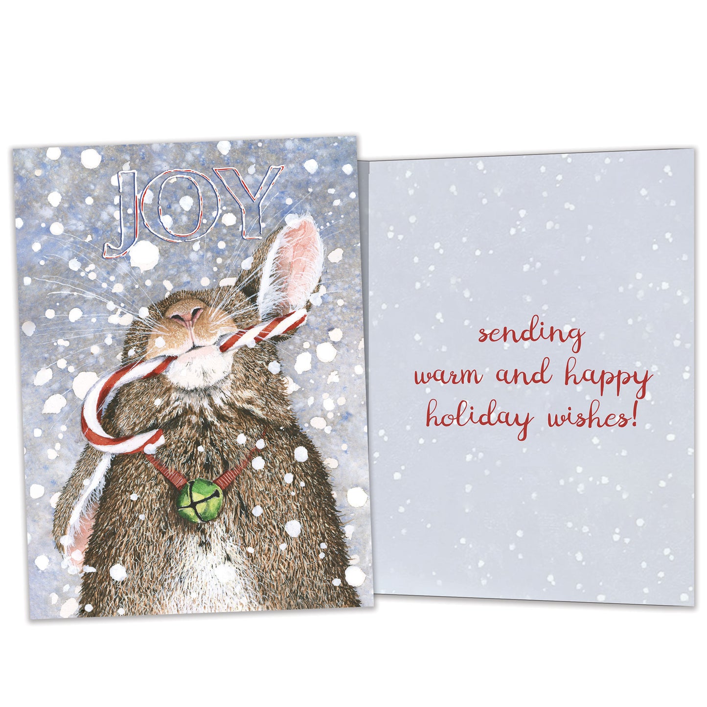 Joyful Wishes Holiday Card