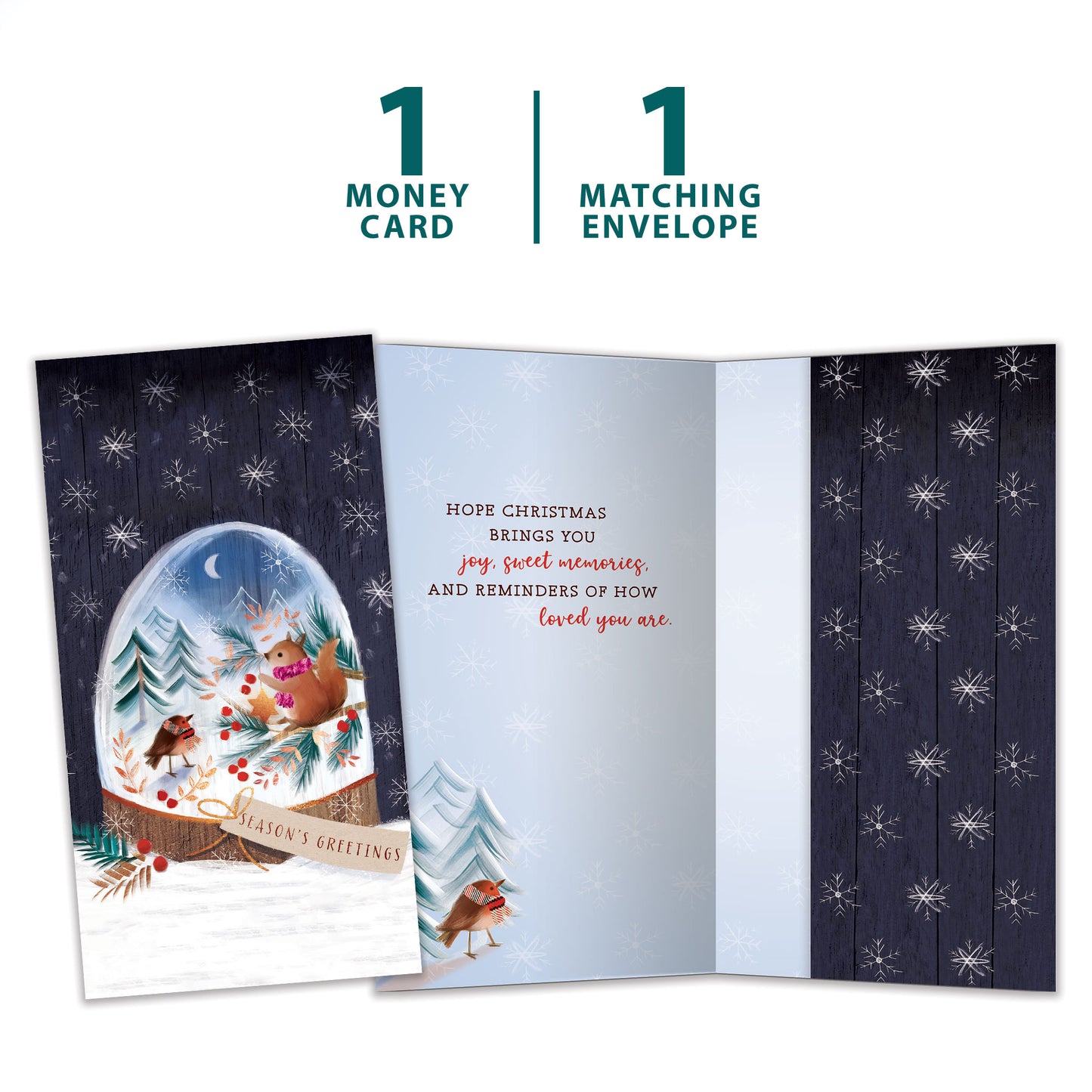 Sweet Snowglobe Christmas Money Holder Card