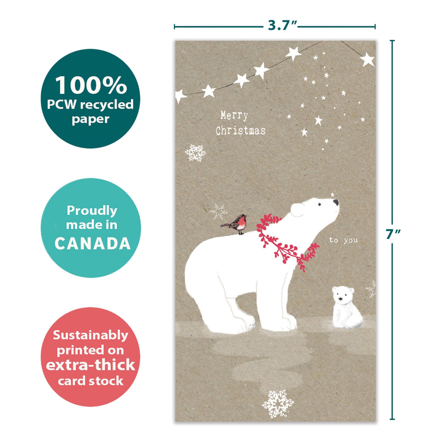 Sweet Polar Christmas Christmas Money Holder Card