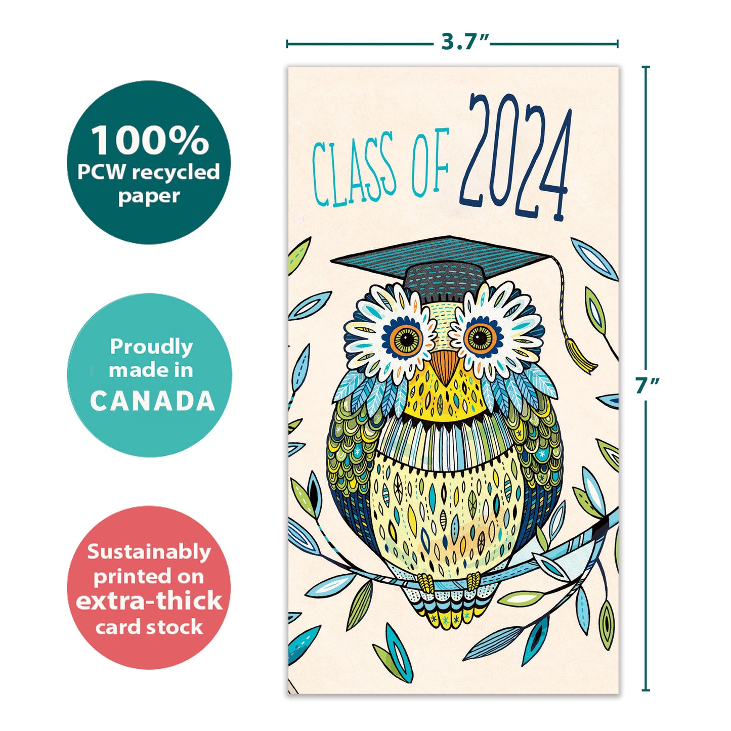 Graduation Owl Graduation Money Holder Card