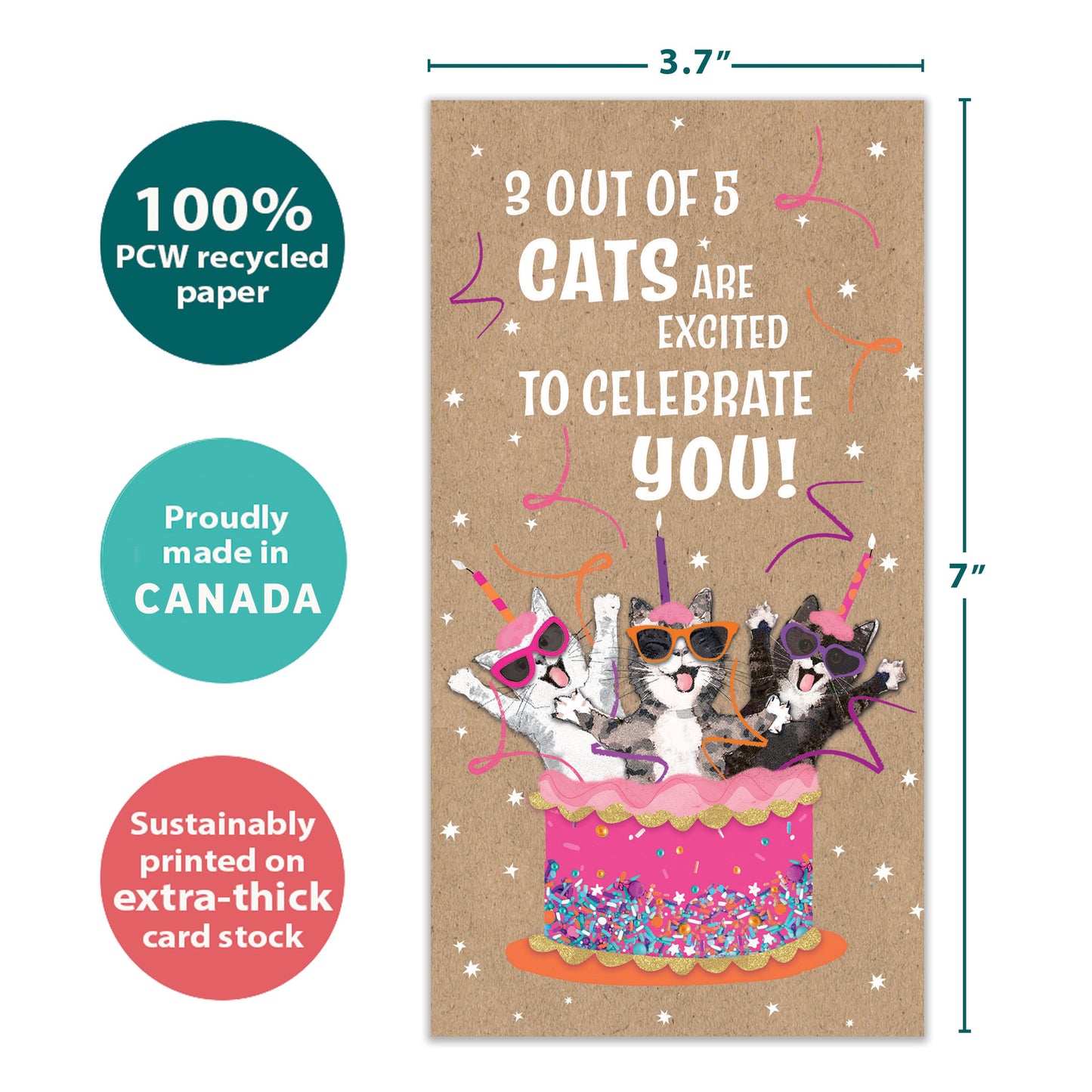 Excited Cats Birthday Money Holder Card