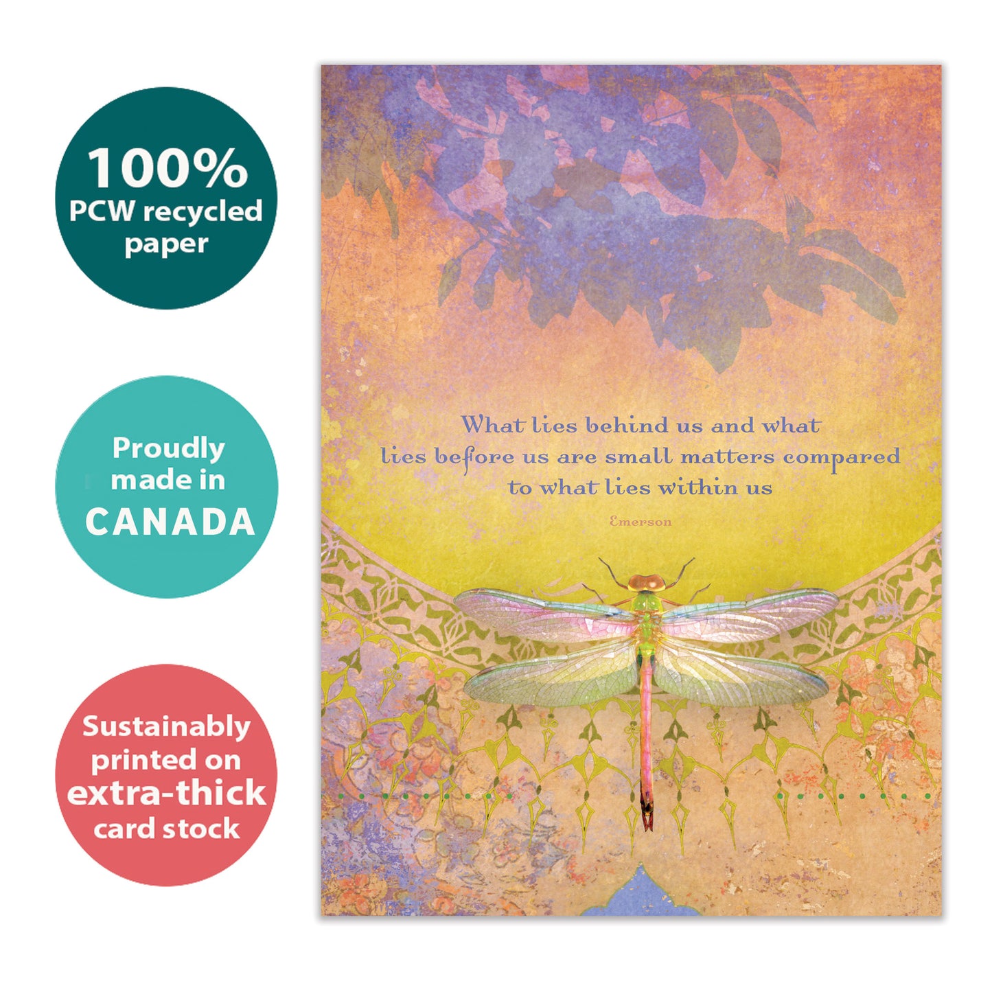 Front view of an All Occasion greeting card with a dragonfly design and a message about inner beauty, highlighting its eco-friendly materials and made in Canada.