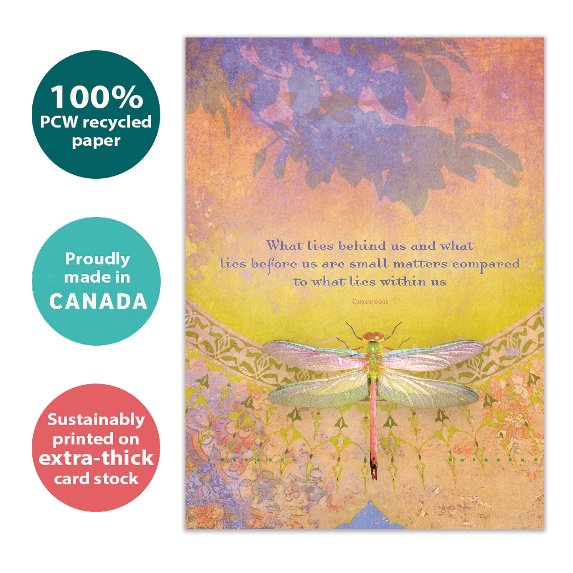 Front view of an All Occasion greeting card with a dragonfly design and a message about inner beauty, highlighting its eco-friendly materials and made in Canada.
