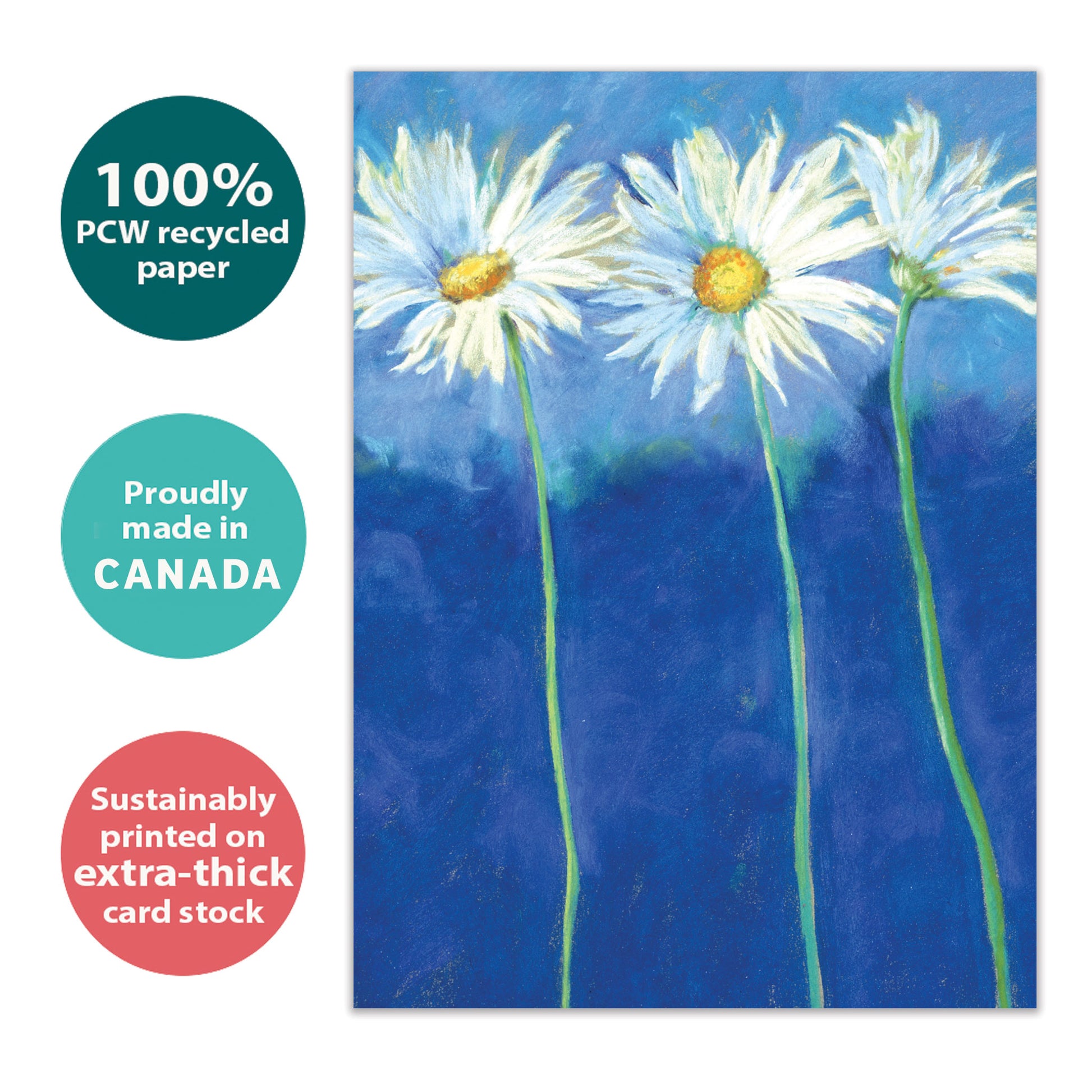 Front view of an All Occasion greeting card with daisies on a blue background, highlighting its eco-friendly materials and made in Canada.