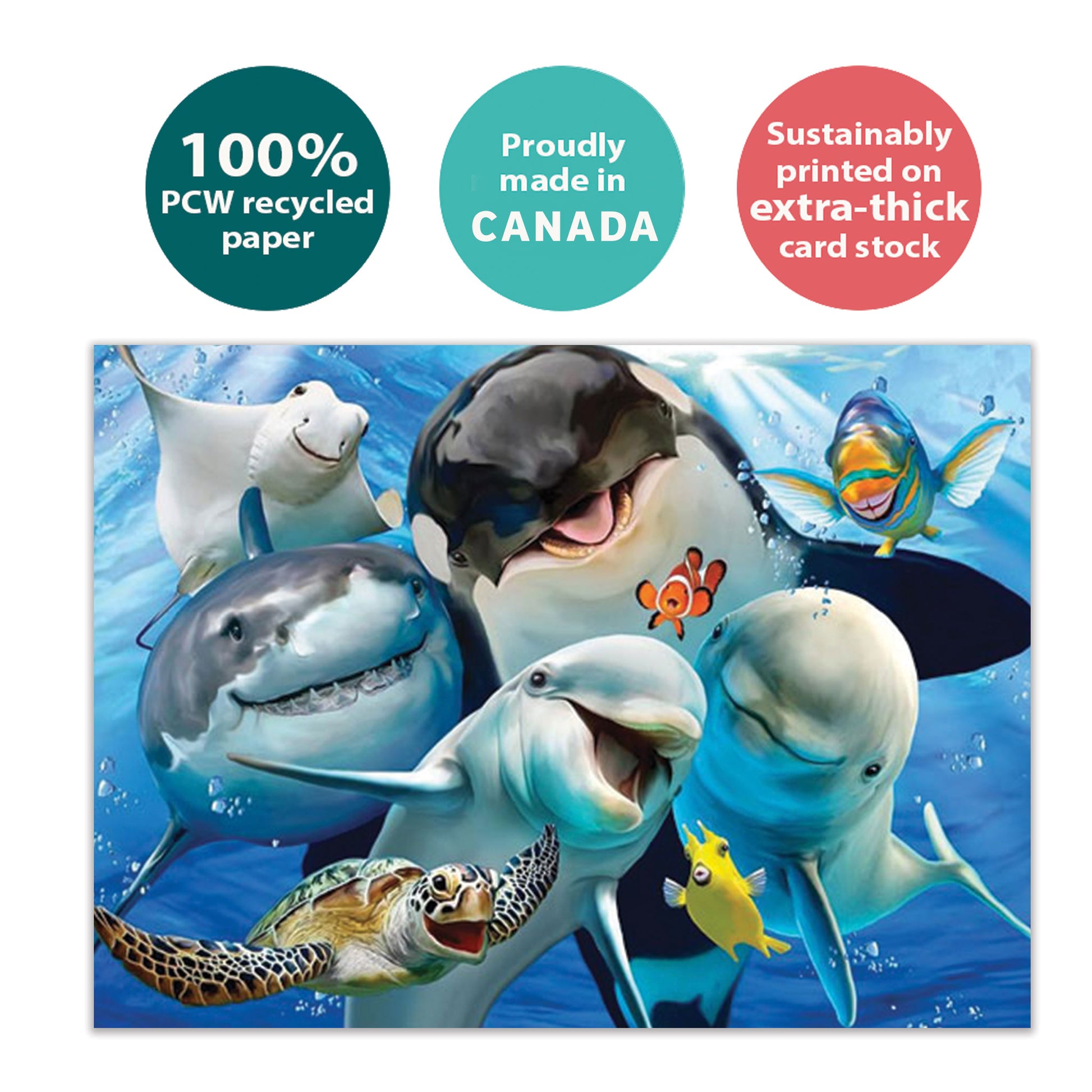 Front view of an All Occasion greeting card with smiling marine animals, highlighting its eco-friendly materials and made in Canada.