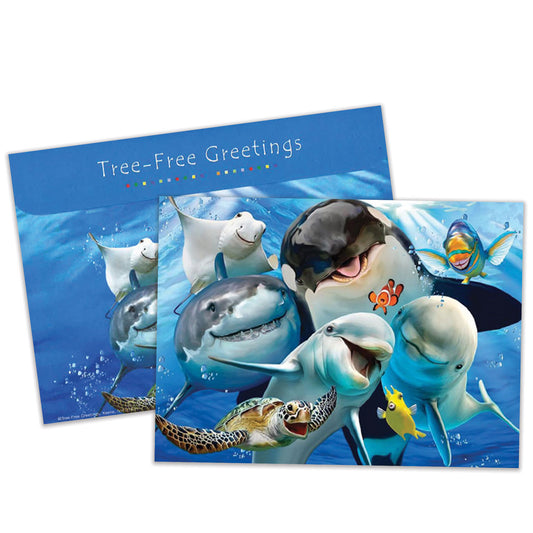 Front view of an All Occasion greeting card and matching envelope featuring smiling marine animals in a fun and playful illustration.