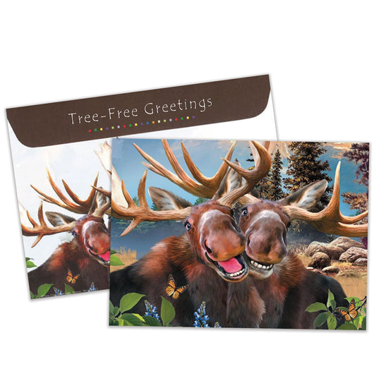 Front view of an All Occasion greeting card and matching envelope featuring an illustration of two smiling moose in a charming and playful design.