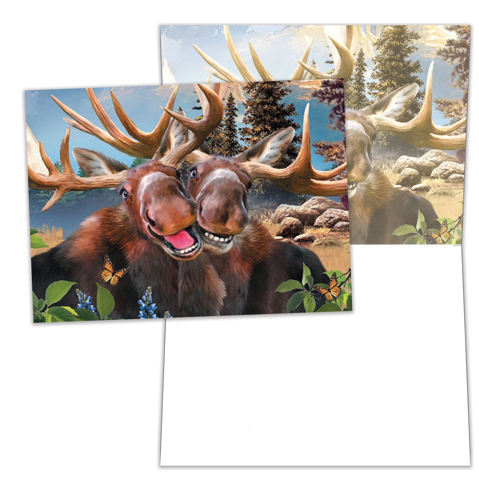 Front and inside view of an All Occasion greeting card featuring two smiling moose, with matching design details inside.