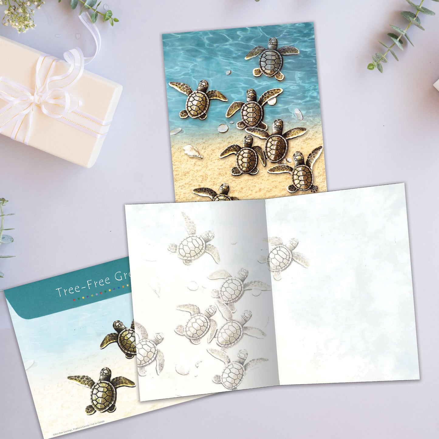 Baby Turtles All Occasion Card
