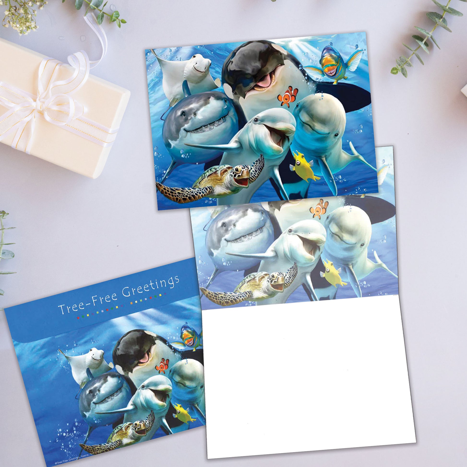 Front and inside view of an All Occasion greeting card showcasing smiling marine animals, with a matching envelope.