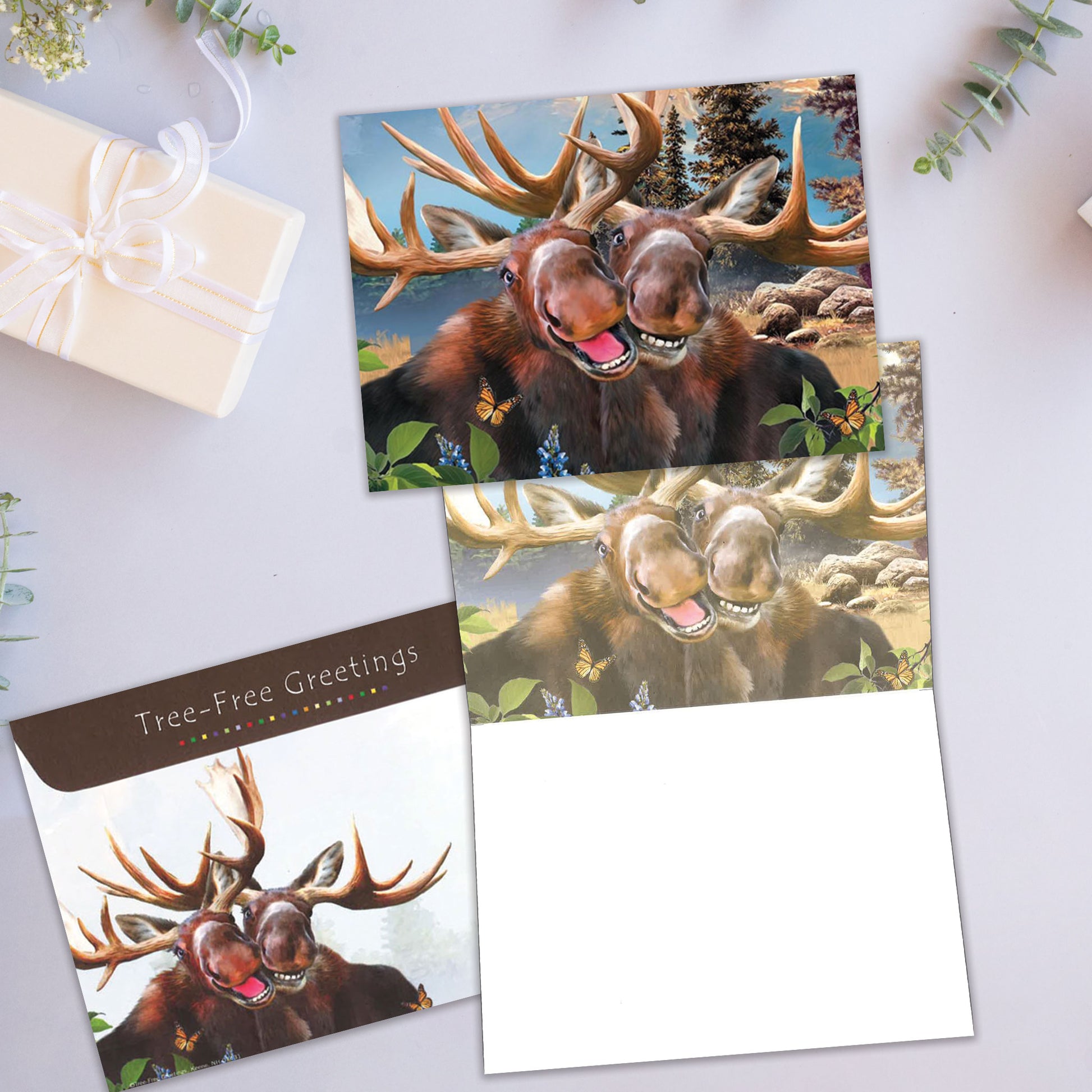 Front and inside view of an All Occasion greeting card showcasing two smiling moose, with a matching envelope.