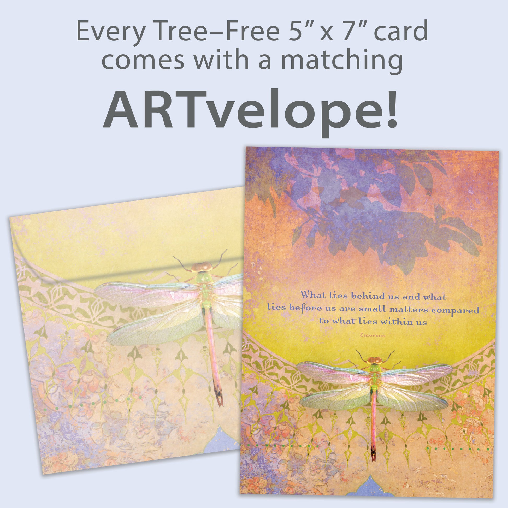 Front view of an All Occasion greeting card featuring a dragonfly illustration and a message about what lies within us, with matching envelope artwork.