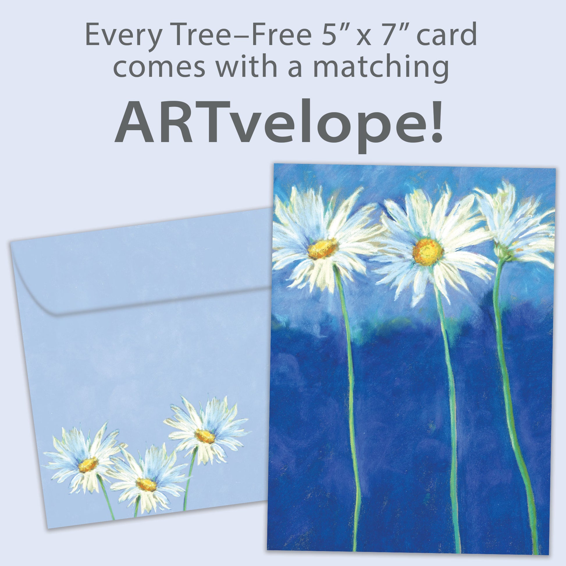 Front view of an All Occasion greeting card featuring daisies on a blue background, with matching envelope artwork.
