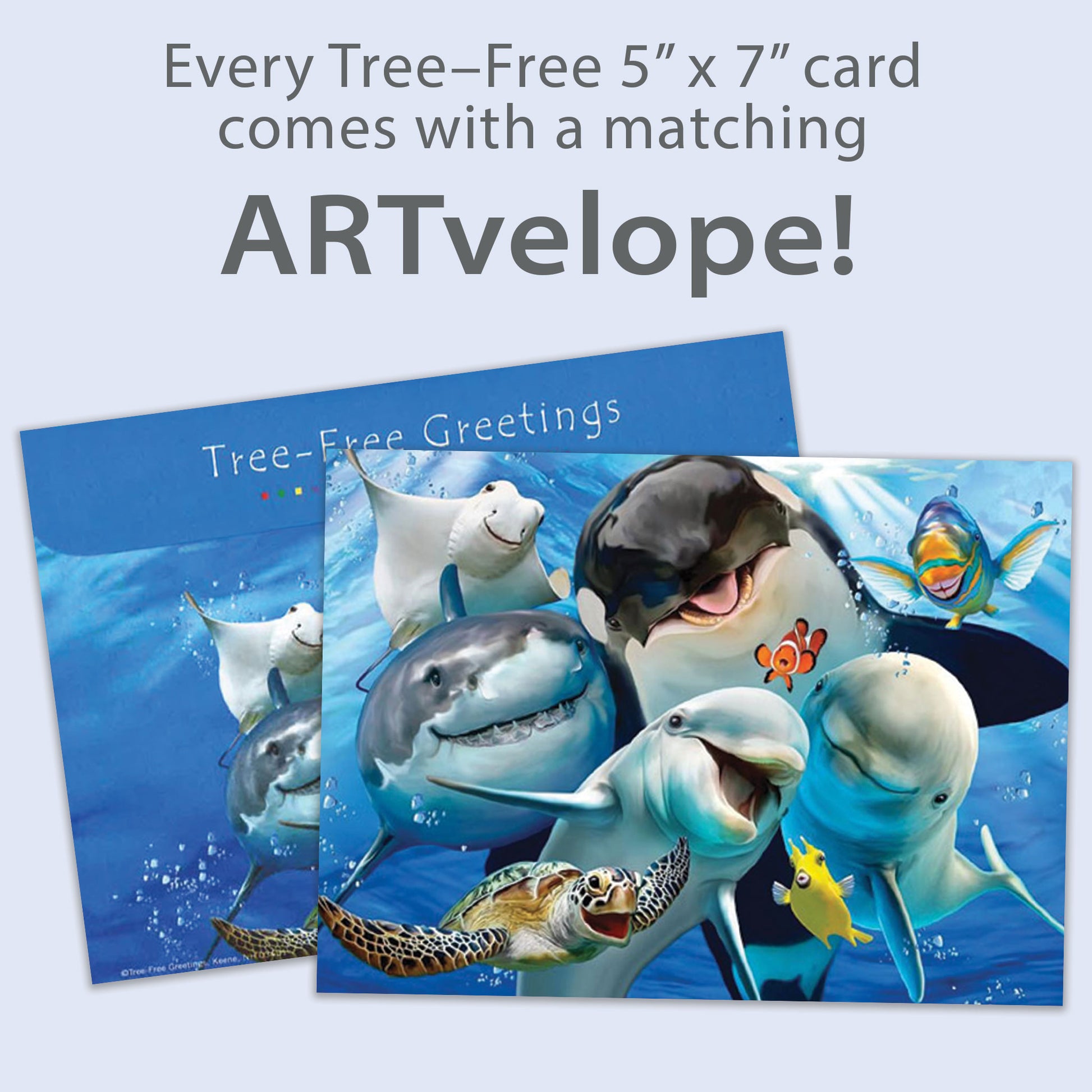 Front view of an All Occasion greeting card featuring smiling marine animals, with matching envelope artwork.