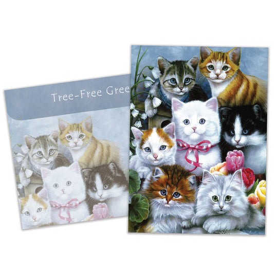Carte Toutes les occasions Chatons