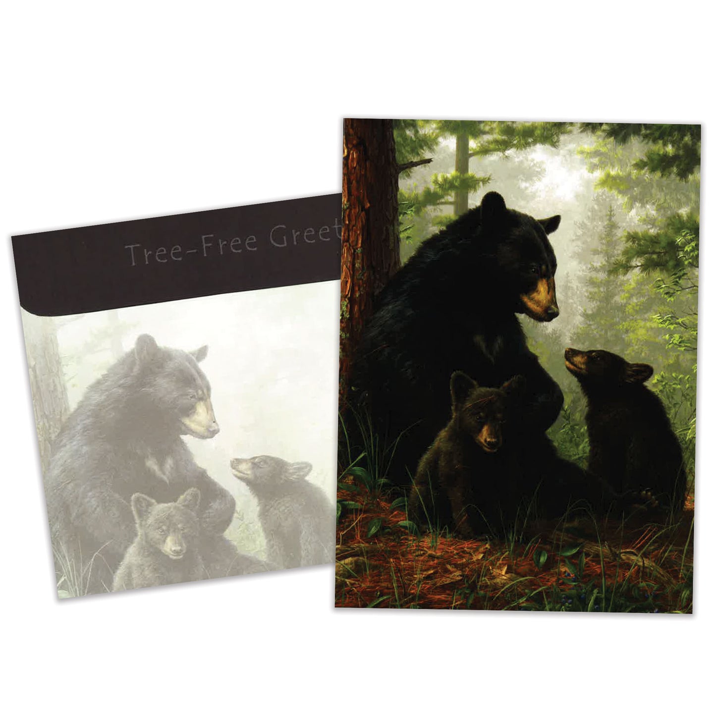 Carte Toutes les occasions Famille d'ours