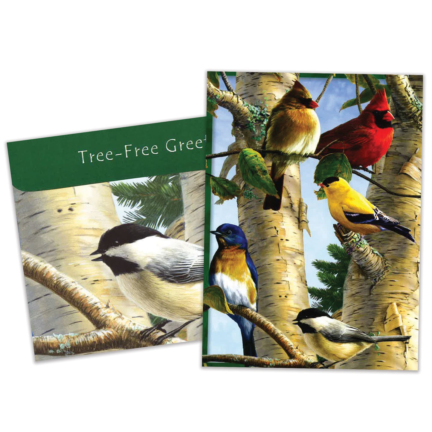 Carte Toutes les occasions Oiseaux Chanteurs