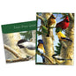 Carte Toutes les occasions Oiseaux Chanteurs