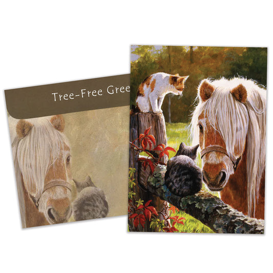 Carte Toutes les occasions Une Visite