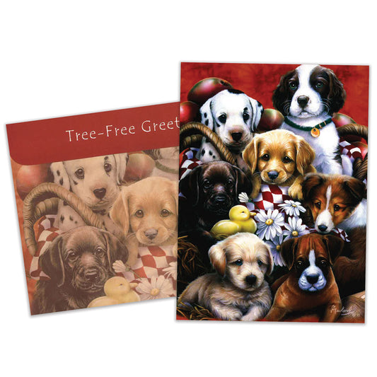 Carte Toutes les occasions Chiens Copains