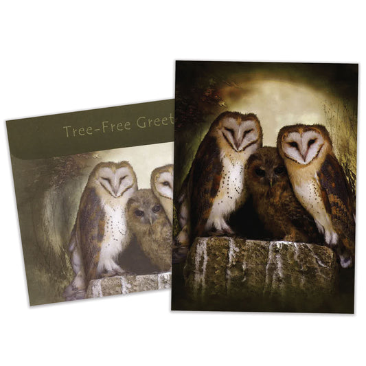 Carte Toutes les occasions Trois Hibous